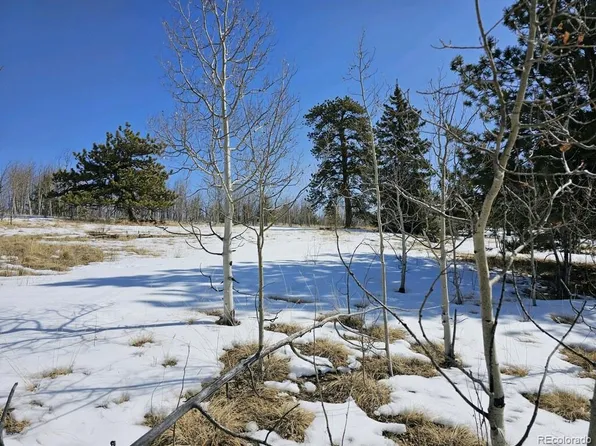 75 Rawhide Court, Jefferson, CO 80456
