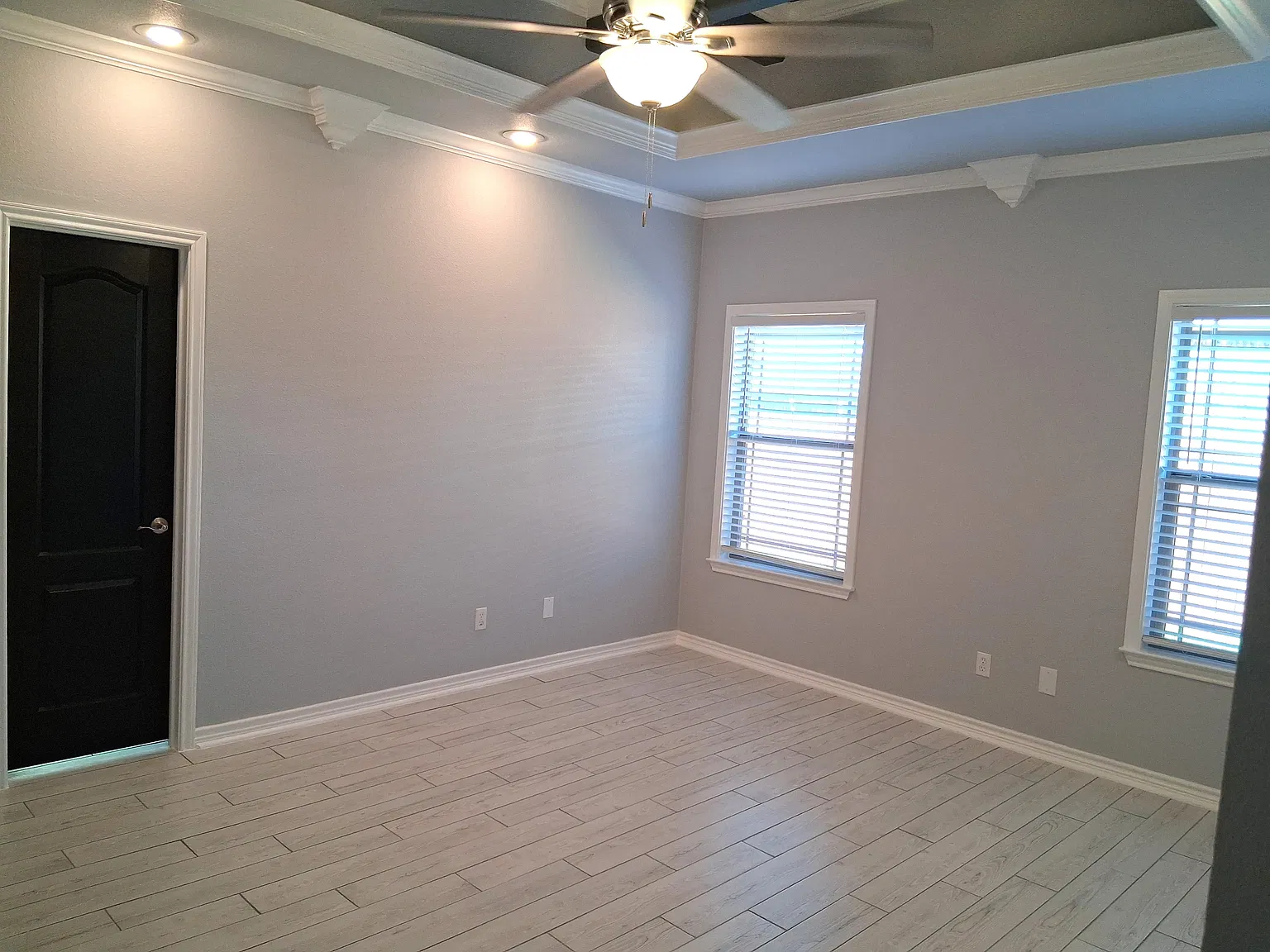 Black Walnut Ct 220 - 1 — Photo 4