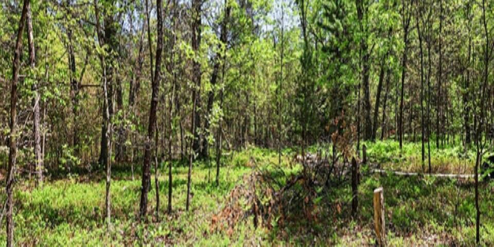 1st image of 5592 Bork Rd SE