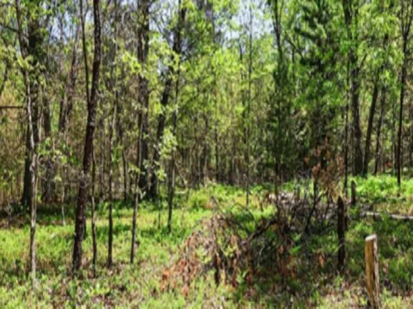 5592 Bork Rd SE, Fife Lake, MI 49633
