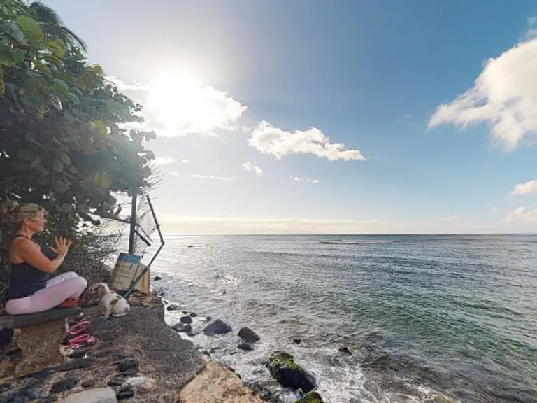 3901 Lower Honoapiilani Rd — Photo 20