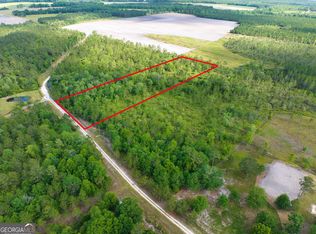 0 Indian Mound Rd, Millwood, GA 31552