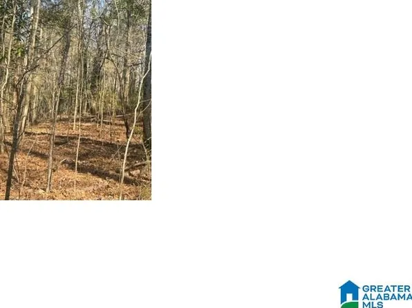 0 Unnamed Rd #36, Alpine, AL 35014