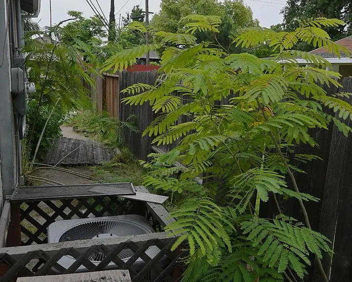 3600 26th Ave #A — Photo 11