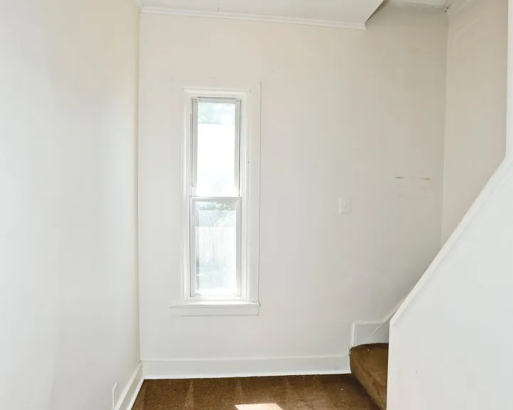 257 Alphonse St — Photo 19