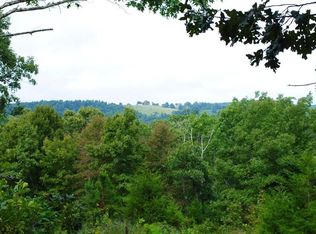 4248 Sunny Fox Rd, Mountain View, AR 72560