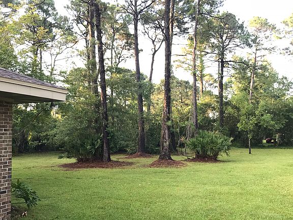 Facing South from side porch