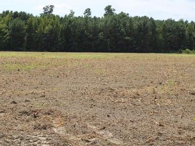 1868 Blakely Rd, Salters, SC, 29590
