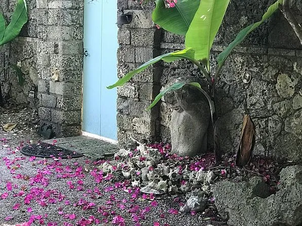 3595 Avocado Ave, Miami, FL 33133