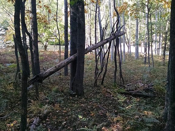 2nd image of 12371 Lone Oak Dr
