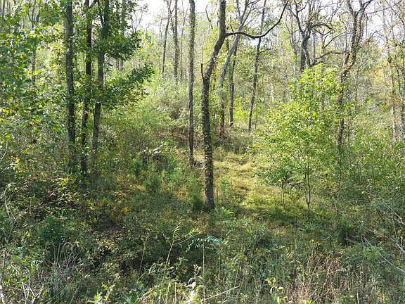 3rd image of Eagle Nest Ct