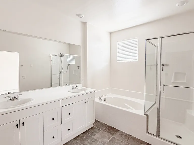 Primary Suite Bathroom
