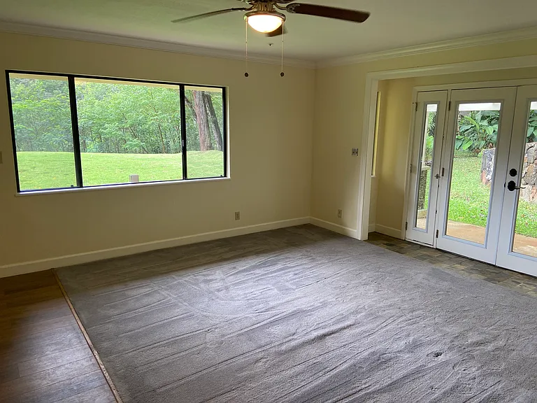 Living room window & entry