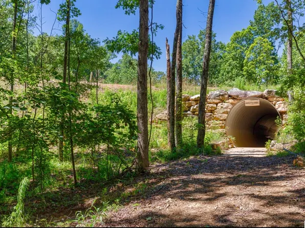 3095 Oakridge Way Lot 61, Chelsea, AL 35043