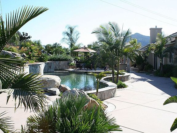 Backyard pool & kitchen