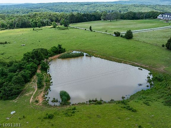 3rd image of Pine Hollow Dr