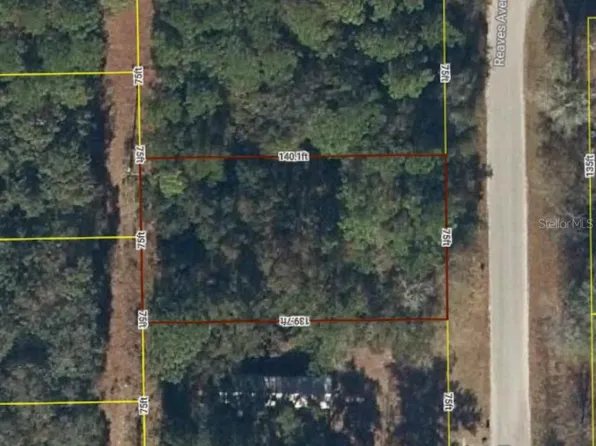 19 Reaves Ave, Interlachen, FL 32148