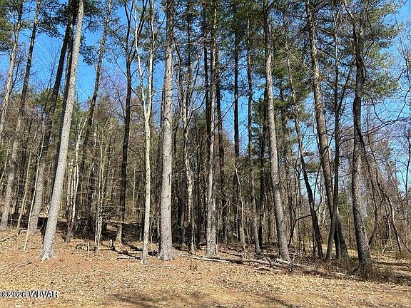 3rd image of 112 Tallman Hollow Rd Lot 4