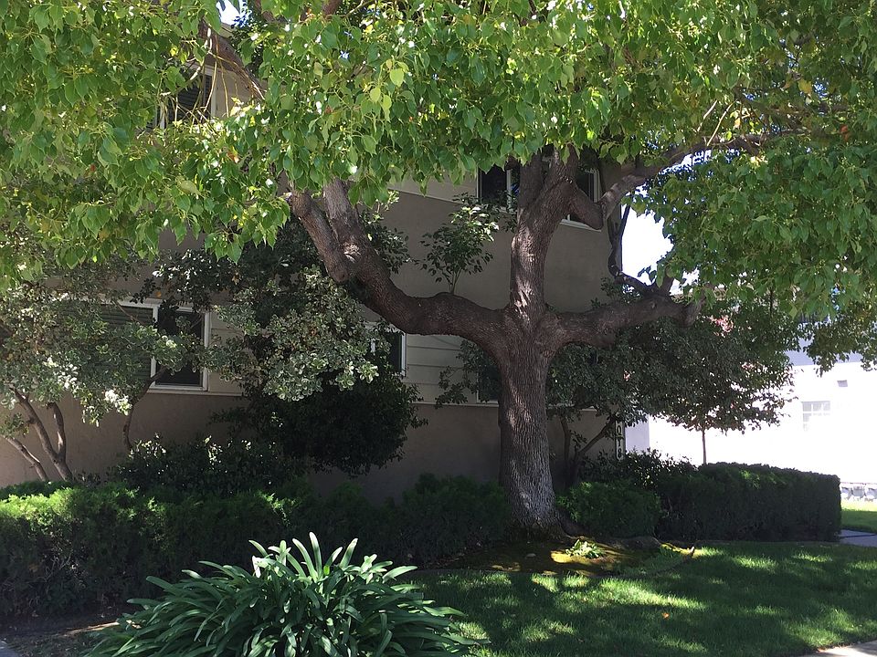 3018 Van Sansul Avenue
