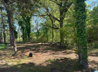 0 Hubbard Rd #0, Sylacauga, AL 35150