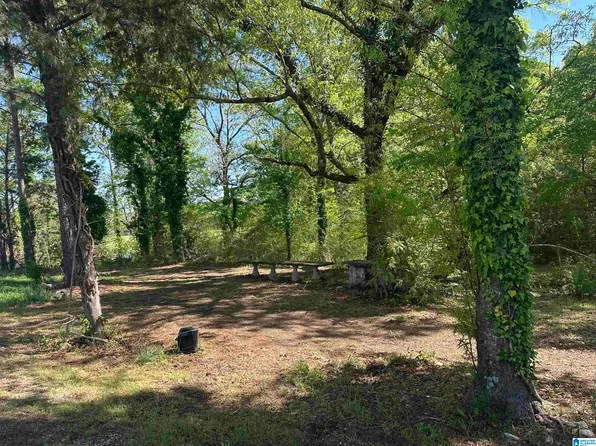 0 Hubbard Rd #0, Sylacauga, AL 35150