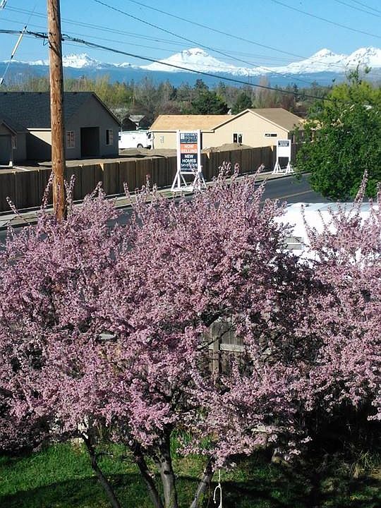 2nd image of 1453 SW 31st St