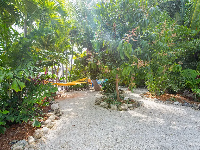 Hammocks to enjoy under the canopy of palm trees.