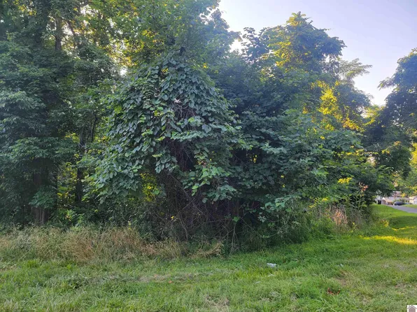 0 Hylan Dr, Eddyville, KY 42038