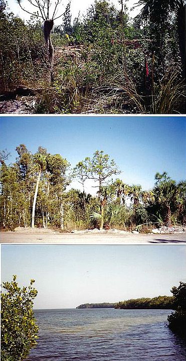 1st image of 5536 Sabal Ave