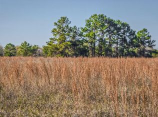 1 Podraza Rd, New Waverly, TX 77358