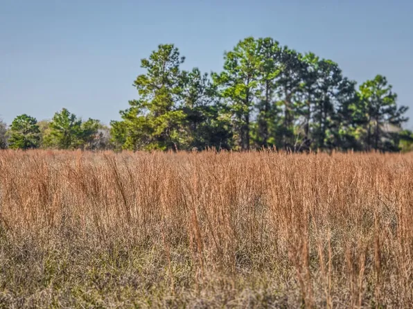 1 Podraza Rd, New Waverly, TX 77358