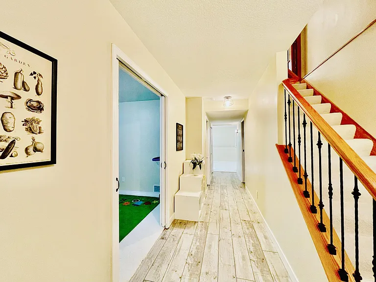 Basement Hallway. Brand-new flooring and cloud-like super soft and cozy highest end carpet.