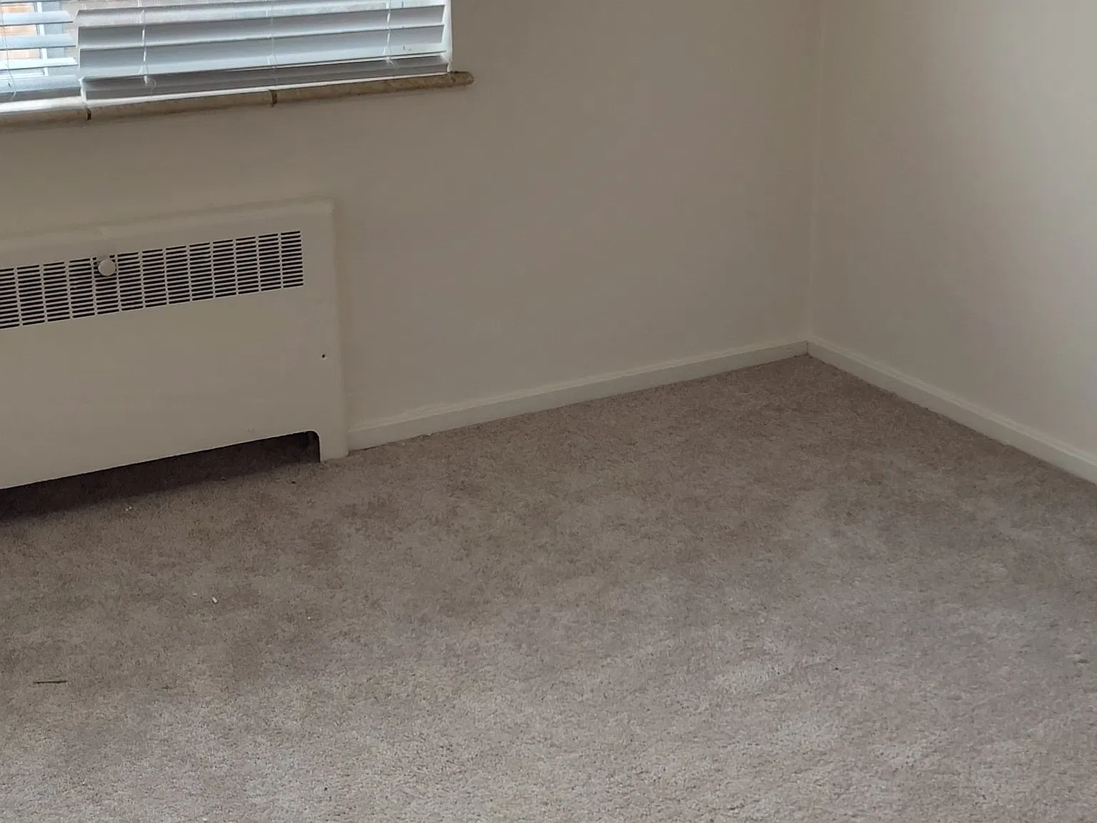 2 bed, 650 sqft, $1,400 — Photo 4