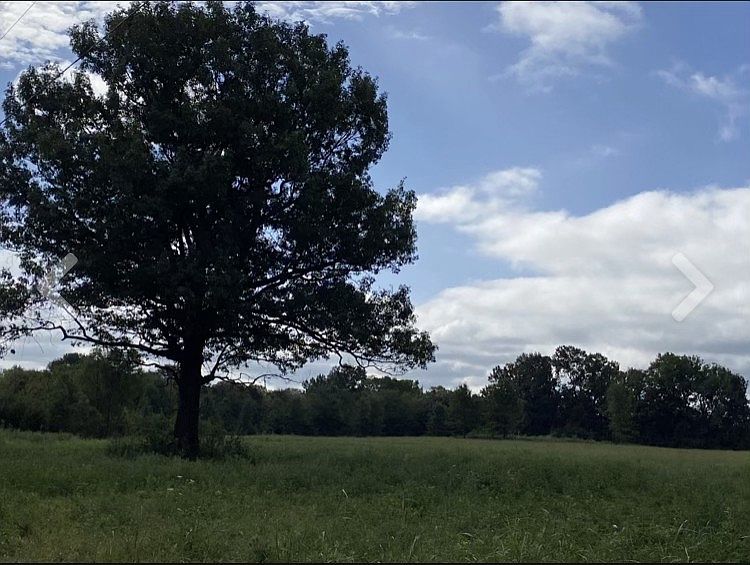 2nd image of Big Springs Rd