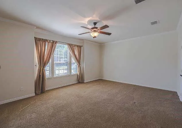 12959 Early Wood Dr — Photo 14