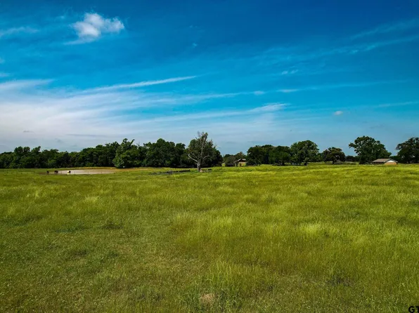 County Road 3010, Mount Vernon, TX 75457