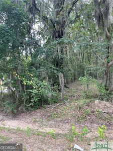 0 Big Hill Rd, Savannah, GA, 31408