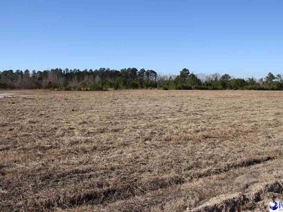 Country Manor Rd, Lamar, SC, 29069