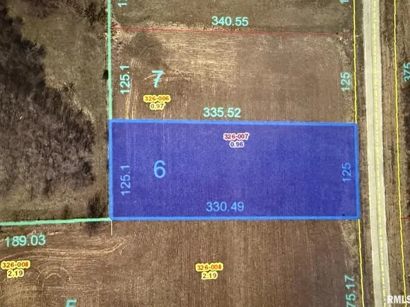 2530 Olof Krans Ave, Galva, IL 61434