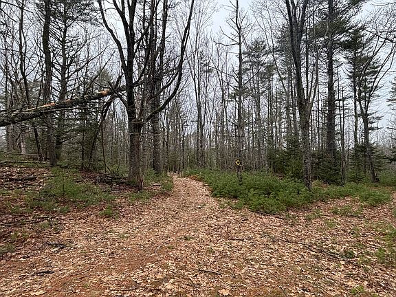 5th image of 74 Mountain Road