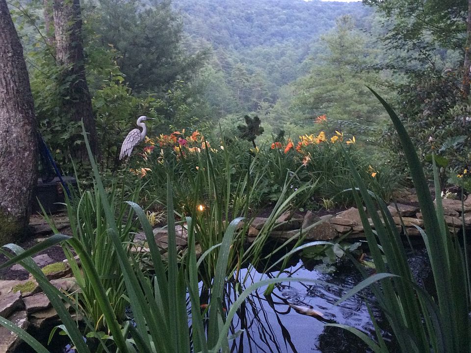 Koi pound with mountain view