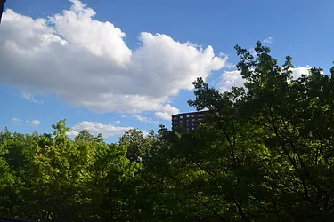 Sold by Marilyn Reisner, LREB