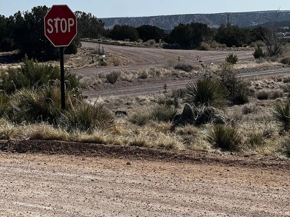 60 Short Lane #207A, Concho, AZ 85924