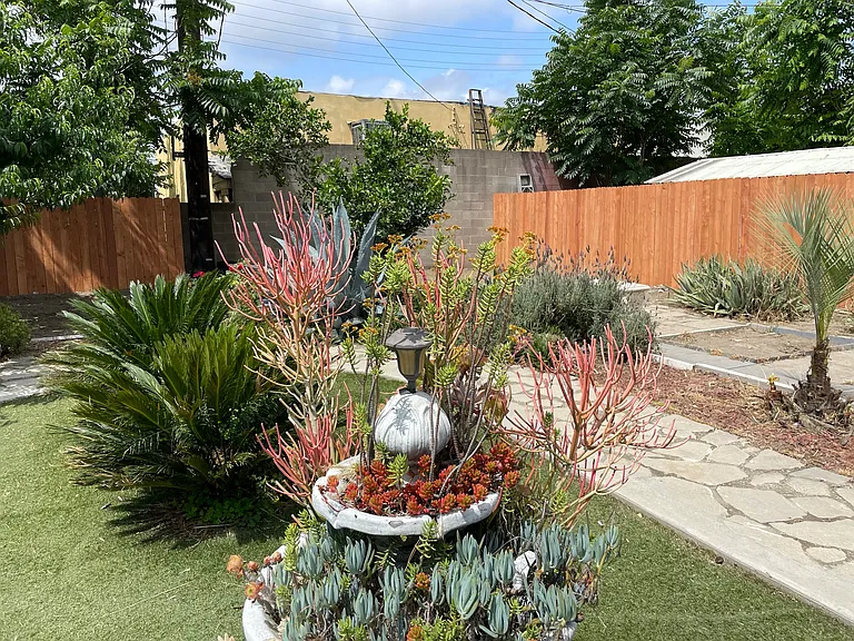 back yard