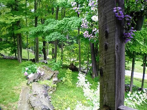 Side View From Front Porch