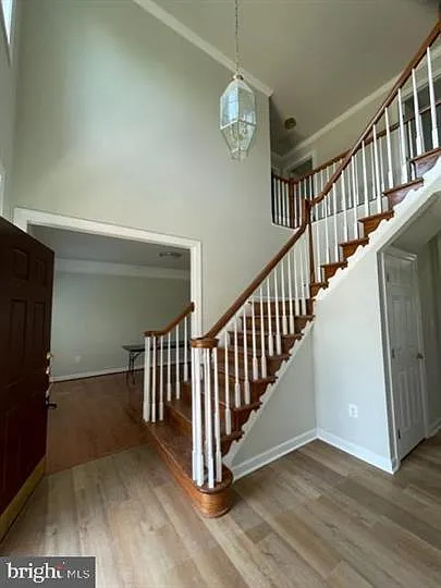 10804 Maplecrest Ln — Photo 4