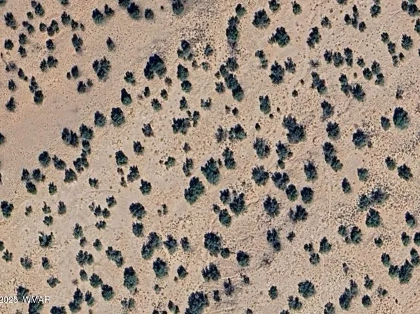 N 9334th, Concho, AZ 85924