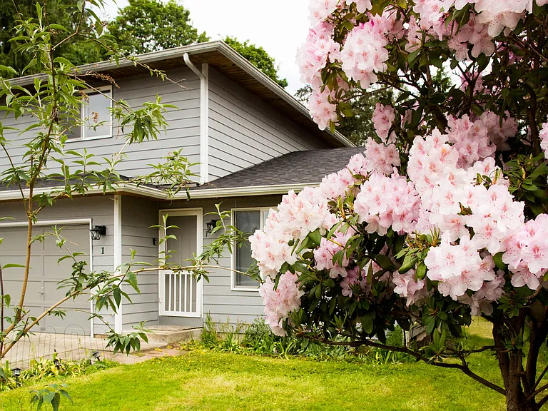 Front exterior surrounded by mature landscaping and flowering trees, offering a peaceful residential setting with great curb appeal.