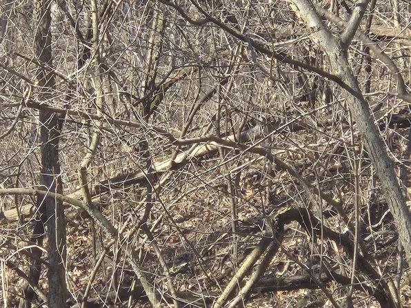 Parcel 534.H Tomlinson Road, Poynette, WI 53955