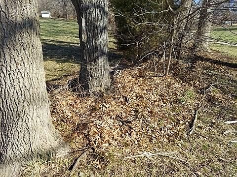 5th image of 3855 S 17th St